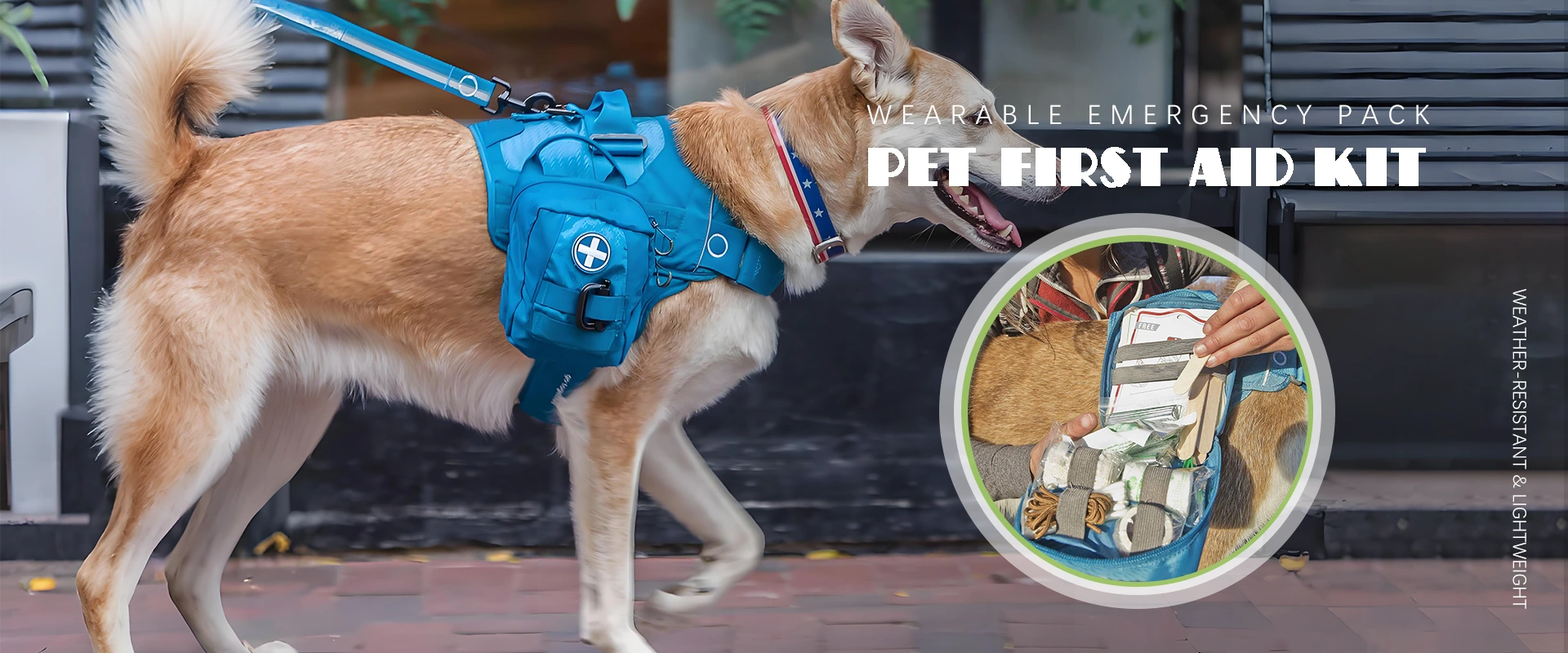 Produttore di kit di pronto soccorso per animali domestici