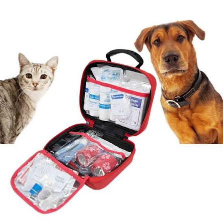 Il compagno di viaggio definitivo: perché la nostra borsa da trasporto per animali domestici in EVA è un punto di svolta per i genitori di animali domestici